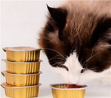 Coimeádáin Alúmanam Do Peataí